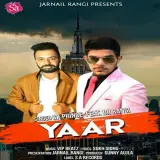 Yaar