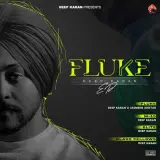 Fluke