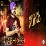 Gabhroo