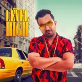 Level High Ft. Deep Jandu