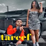 Tareef