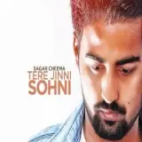 Tere Jinni Sohni