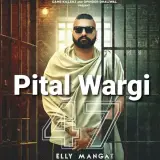Pital Wargi Ft. Jasmeen Akhtar