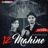 12 Mahine