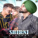 Sherni  Ft Mr & Mrs Narula