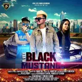 Black Mustang