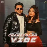 Chandigarh Vibe