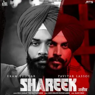 Shareek Ft. Pavitar Lassoi