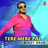 Tere Mere Pal