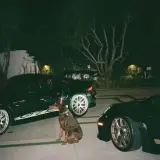 Dream Machines