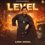 Level