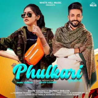 Phulkari Ft. Dilpreet Dhillon