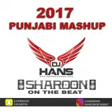 2017 Punjabi Mashup