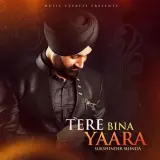 Tere Bina Yaara Ft. Neetu Bhalla
