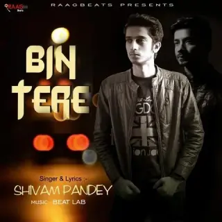 Bin Tere