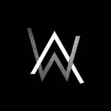 Dil Ke Paas Vs Alan Walker Feded Mashup Remix