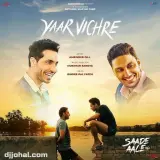 Yaar Vichre