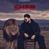 Sher