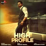 High Profile