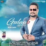 Gulaab Wargi