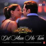 Dil Mein Ho Tum (Cheat India)