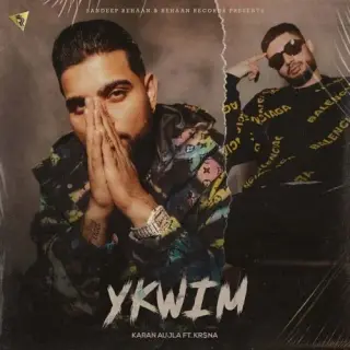 Ykwim Ft. KRSNA (iTunes)