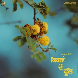Kikran De Phull (Original)