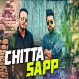 Chitta Sapp