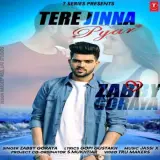 Tere Jinna Pyar