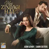 Meri Zindagi Hai Tu