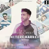 Ni Tere Karkeh