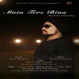 Main Tere Bina