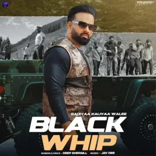 Black Whip