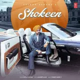 Shokeen