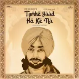 Tumhe Yaad Ho Ke Na