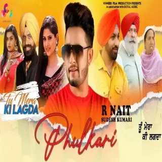 Phulkari (Tu Mera Ki Lagda)