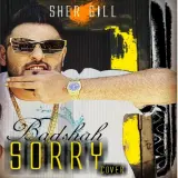 Sorry (Cover)