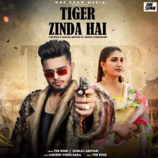Tiger Zinda Hai Ft. Gurlej Akhtar