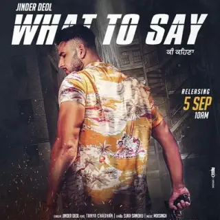 What To Say Ft. MixSingh