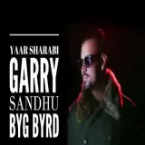 Yaar Shraabi