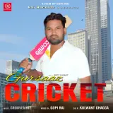 Cricket