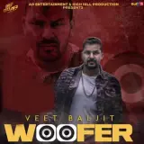 Woofer