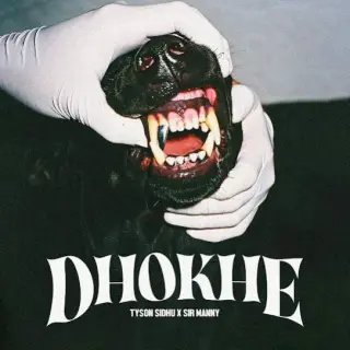 Dhokhe