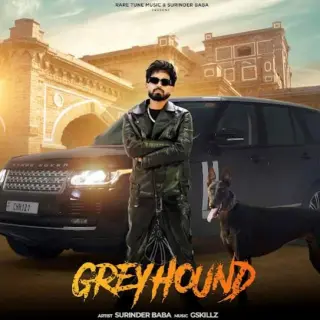Greyhound