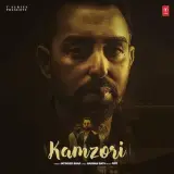 Kamzori