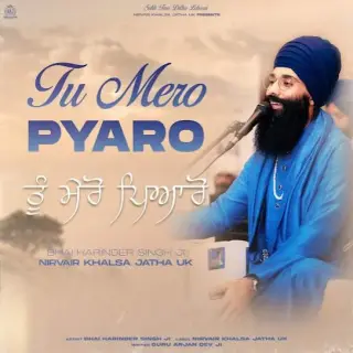 Tu Mero Pyaro