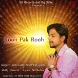 Rooh Pak Rooh
