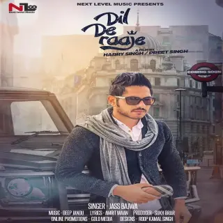 Dil De Raaje