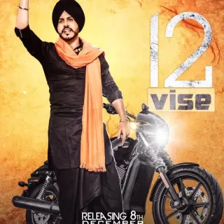 12 Vise