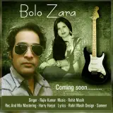 Bolo Zara